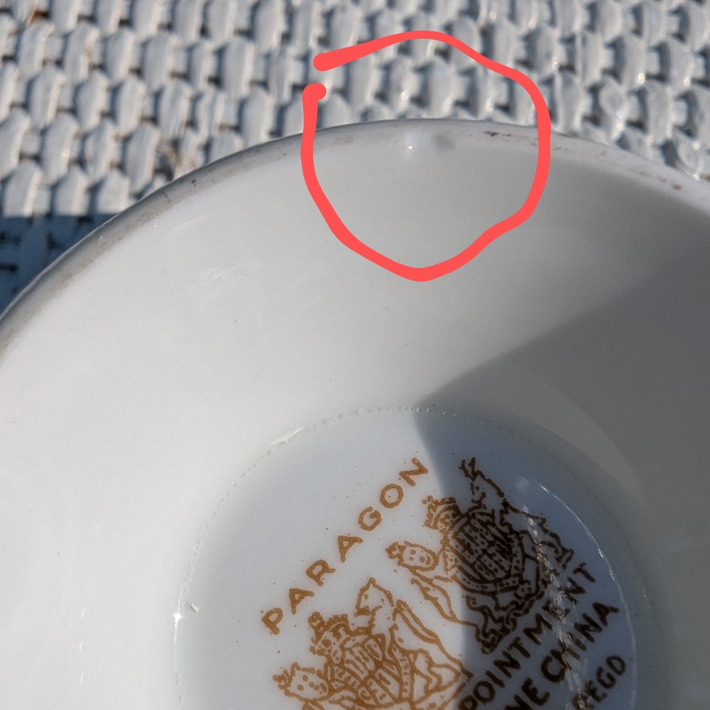 PARAGON Double Warrent Tea Cup With A Floating Pink Cabbage Rose - Picture 7 of 12